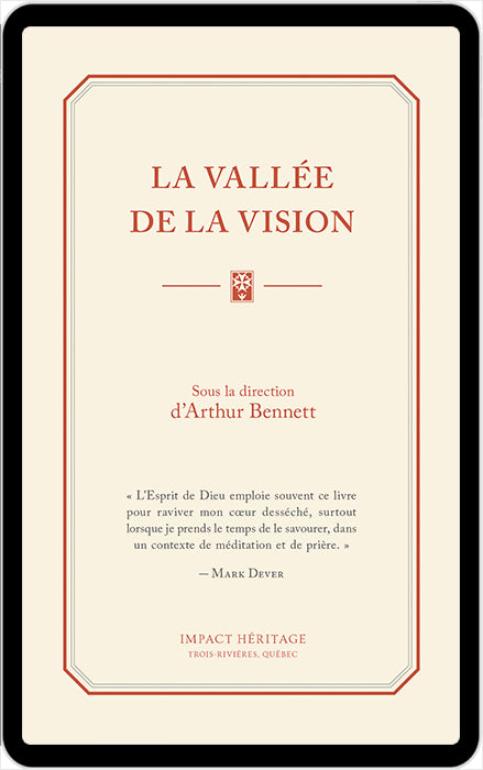 La vallée de la vision (eBook)