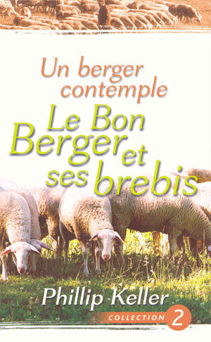 Un berger contemple - Le Bon Berger et ses brebis