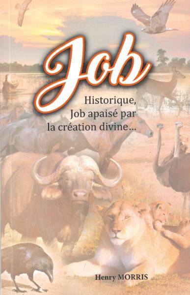 Job : Historique, Job apaisé par la création divine...