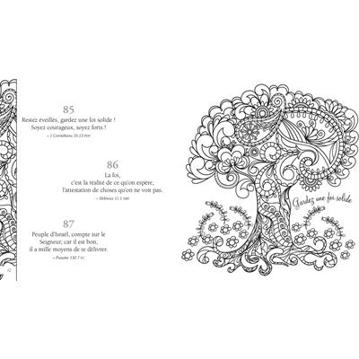 365 promesses de la Bible