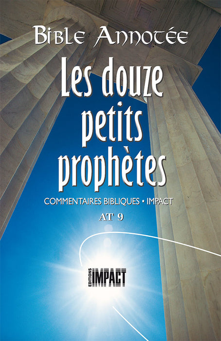 <transcy>The Minor Prophets (Les douze prophètes)</transcy>