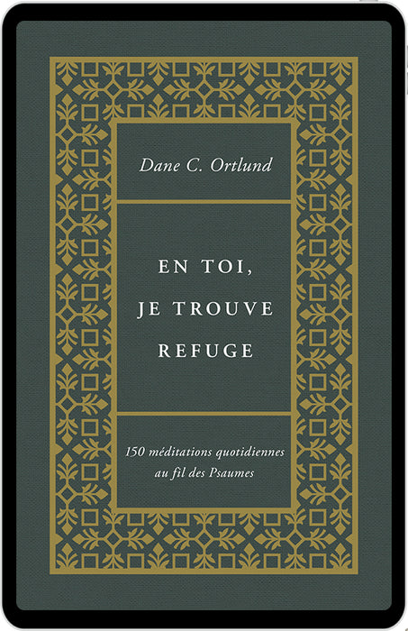 En toi, je trouve refuge (eBook)