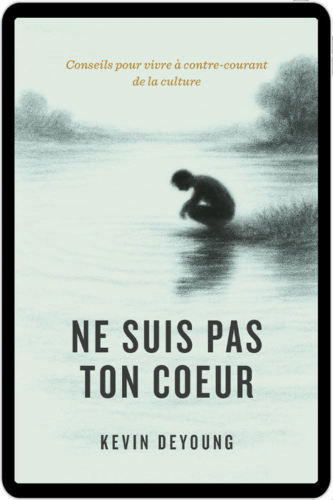 Ne suis pas ton coeur (eBook)