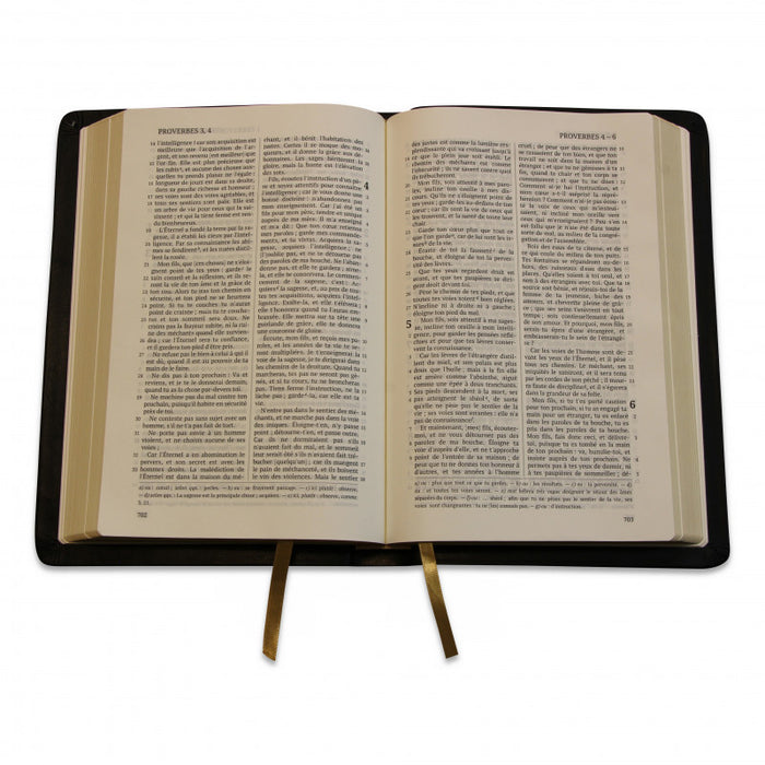 Bible Darby cuir avec rebords (Cuir noir, avec rebord, tranche dorée)