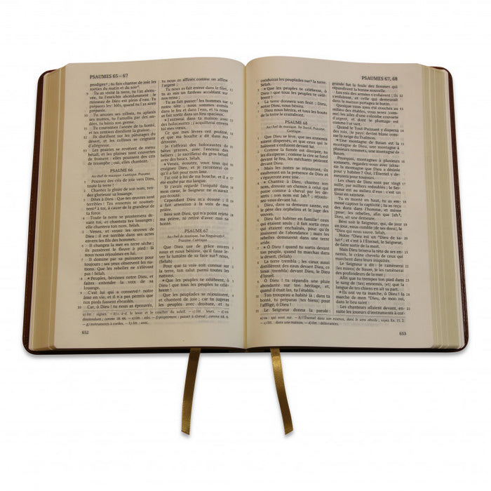 Bible Darby bicolore (Simili-cuir, deux tons bruns souple, tranche dorée)