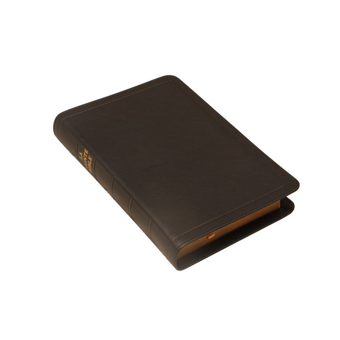 Bible Darby cuir - format moyen - avec rebords (Cuir noir, avec rebord, tranche dorée)