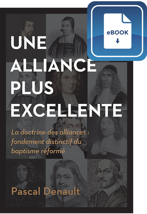<transcy>A Better Alliance (eBook) (Une alliance plus excellente (eBook))</transcy>