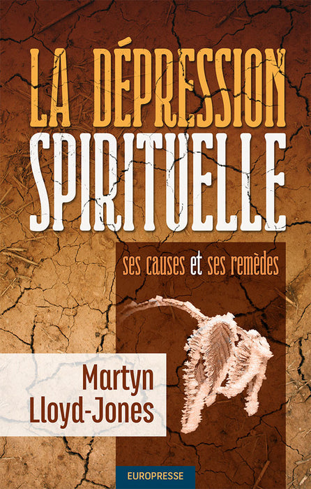 <transcy>Spiritual depression (La dépression spirituelle)</transcy>
