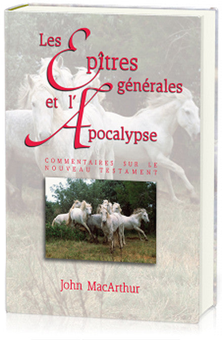 <transcy>The General Epistles and the Apocalypse (Les Épîtres générales et l'Apocalypse)</transcy>