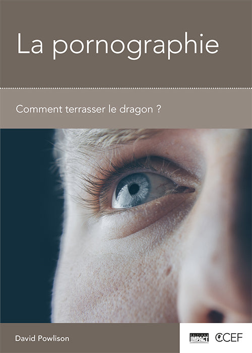 <transcy>Pornography: Slaying the Dragon (La pornographie - comment terrasser le dragon ?)</transcy>
