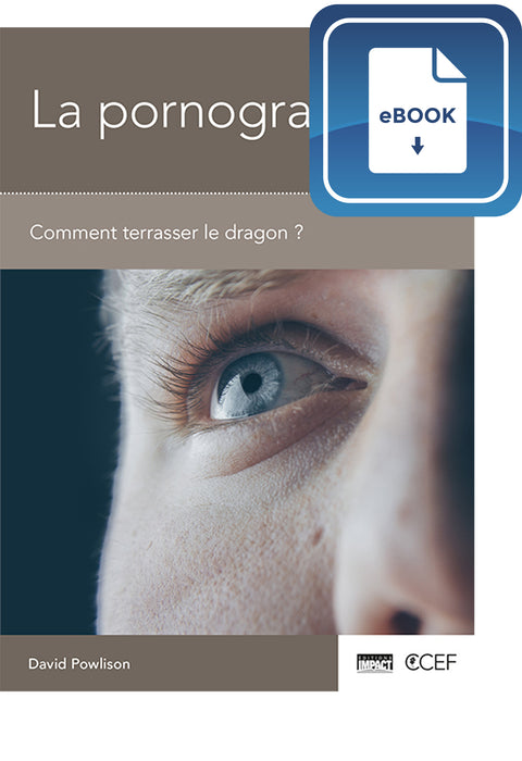 <transcy>Pornography: Slaying the Dragon (eBook) (La pornographie - Comment terrasser le dragon ? (eBook))</transcy>
