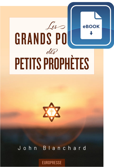Les grands points des petits prophètes (eBook)