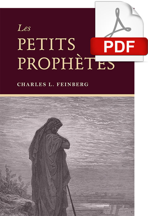 <transcy> The Minor Prophets (PDF) (Les Petits Prohpètes (PDF))</transcy>