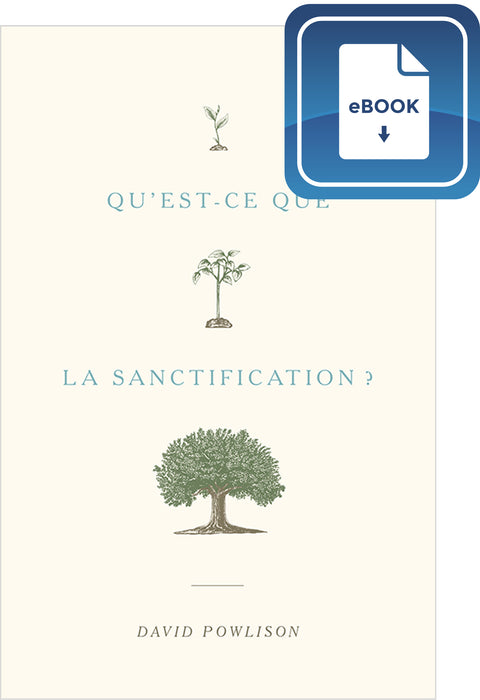 Qu'est-ce que la sanctification ? (eBook)