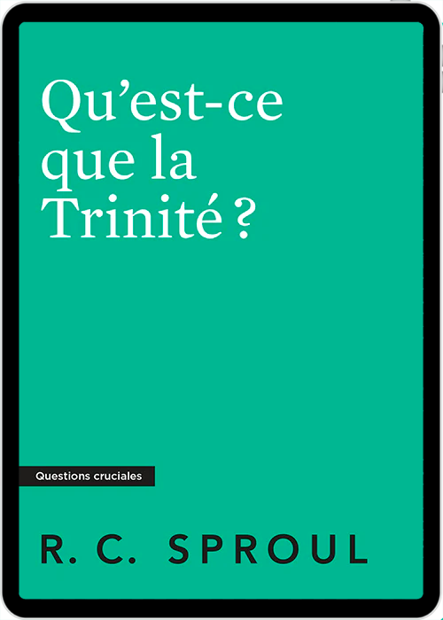 <transcy>What is the Trinity? (eBook) (Qu'est-ce que la Trinité ? (eBook))</transcy>