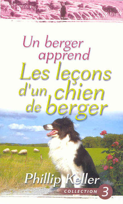 <transcy>Lessons From a Sheep Dog (Un berger apprend les leçons d'un chien de berger)</transcy>